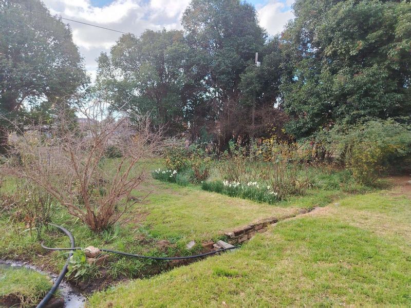 House For Sale in Murraysburg Central - Photo 6