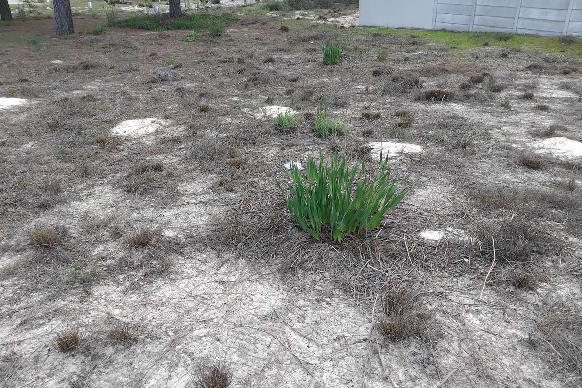Vacant Land Residential For Sale in Albertinia Central - Photo 4