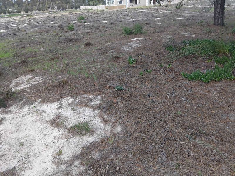 Vacant Land Residential For Sale in Albertinia Central - Photo 1