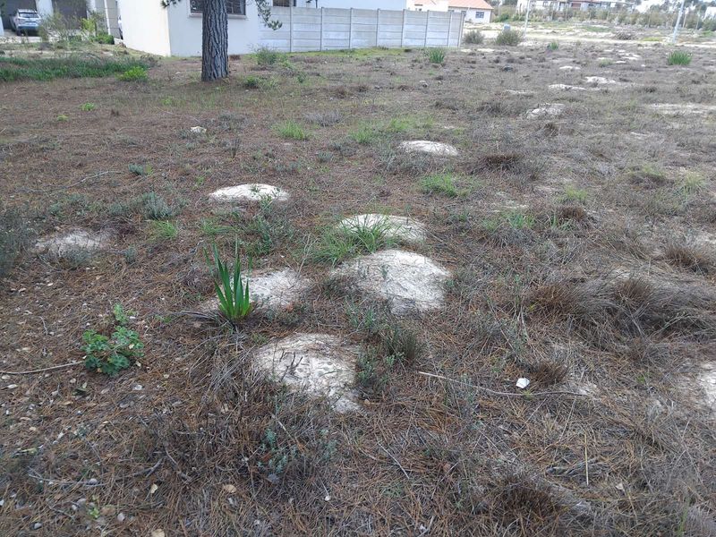 Vacant Land Residential For Sale in Albertinia Central - Photo 5
