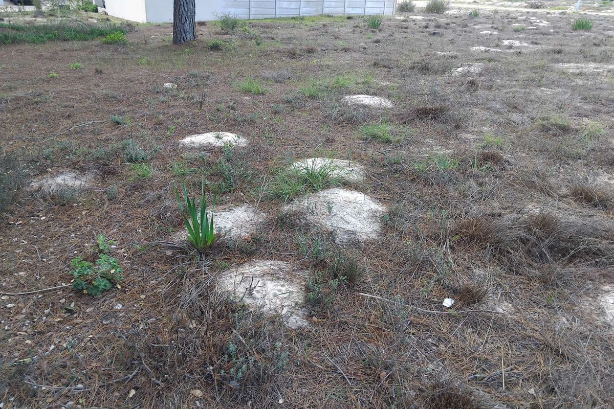 Vacant Land Residential For Sale in Albertinia Central - Photo 5