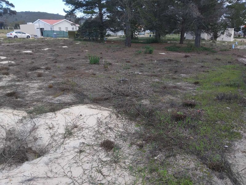 Vacant Land Residential For Sale in Albertinia Central - Photo 3