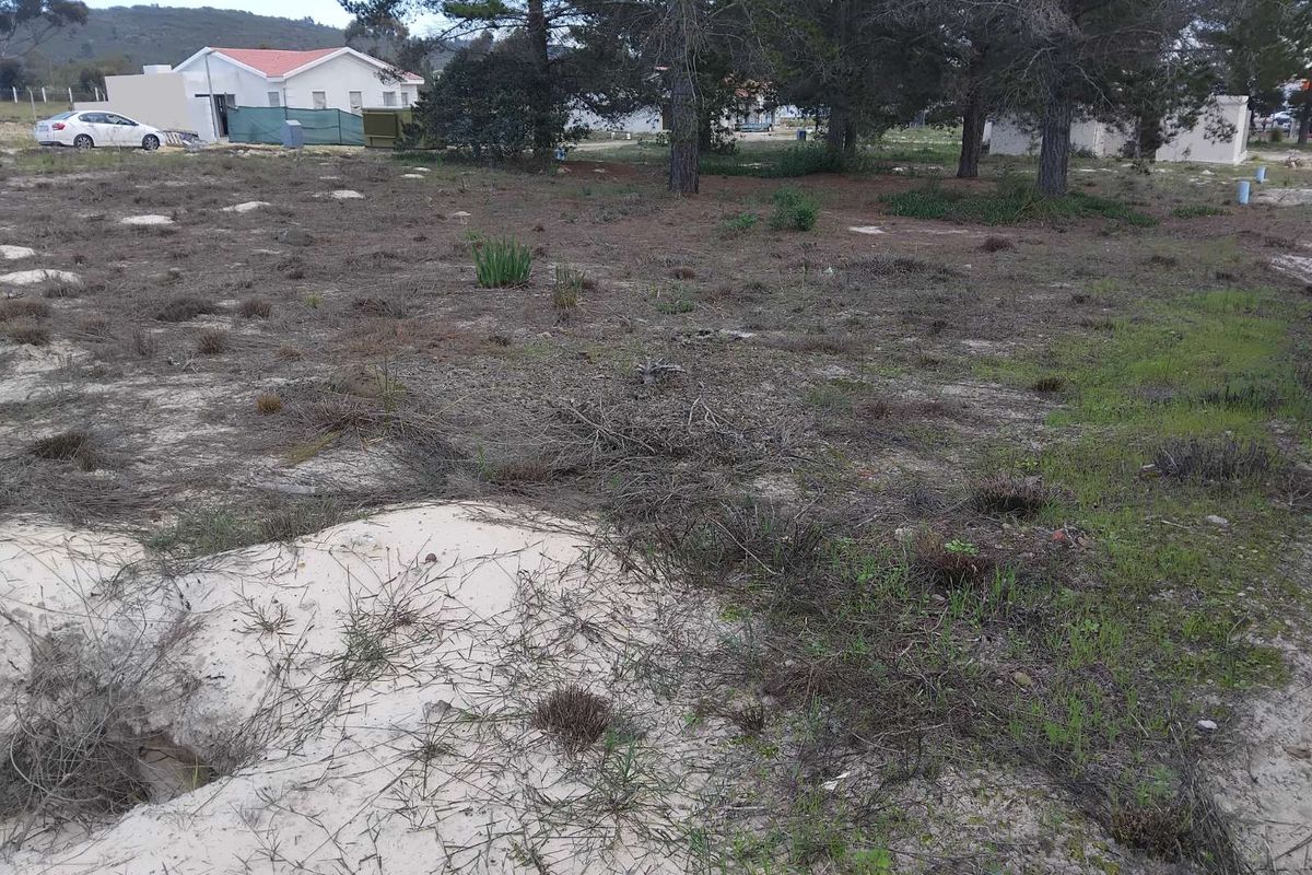 Vacant Land Residential For Sale in Albertinia Central - Photo 3