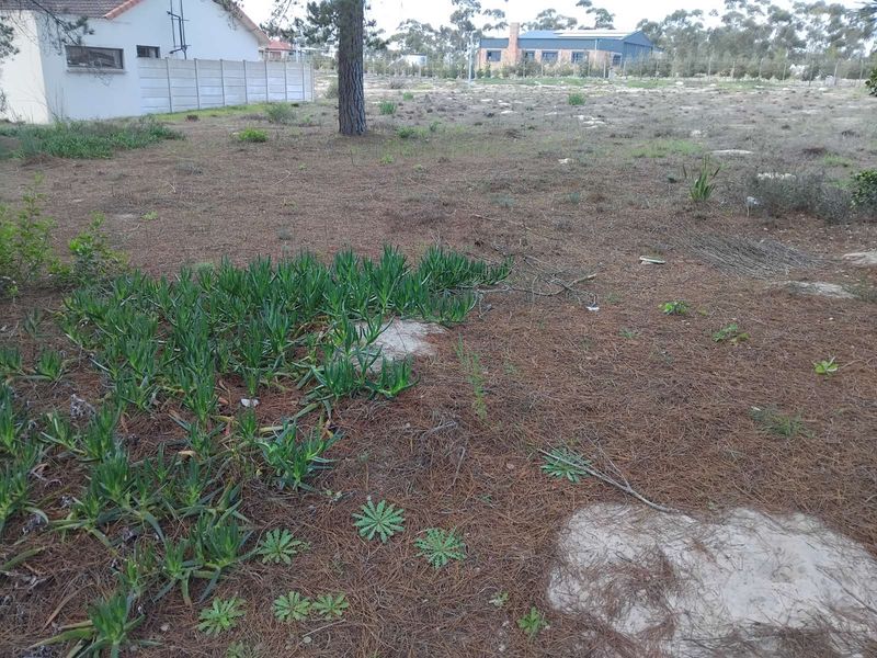 Vacant Land Residential For Sale in Albertinia Central - Photo 6