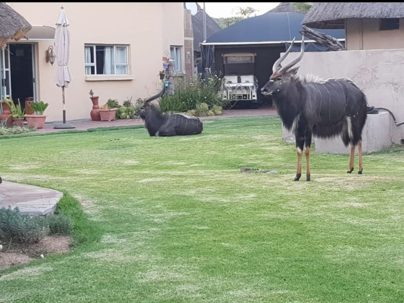 House For Sale in Constantia Resort - Photo 4