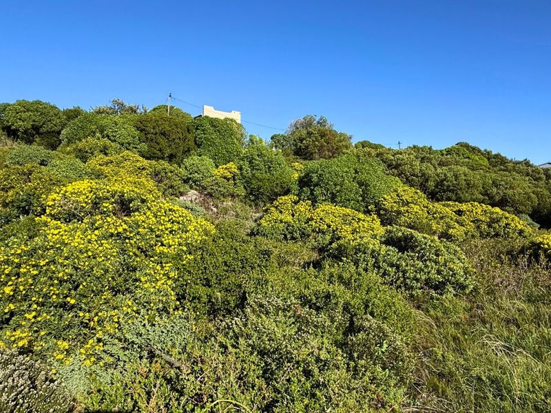 Vacant Land Residential For Sale in Pearly Beach - Photo 5