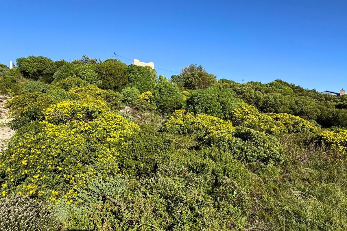 Vacant Land Residential For Sale in Pearly Beach - Photo 5