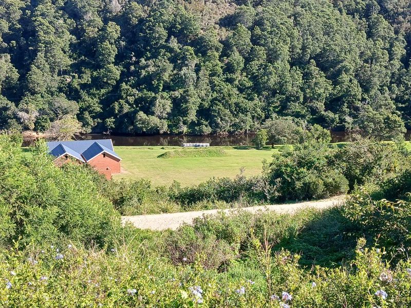 House For Sale in Die Heuwel - Photo 8