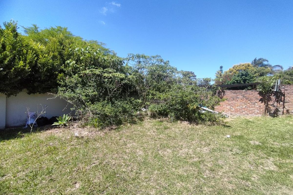 A private garden area featuring a mix of brick and plastered boundary walls, currently requiring landscaping and maintenance to improve its overall appeal.