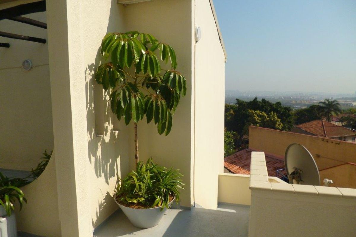 2 Bedroom Unit on the Bluff in Bluff Road,. Dont miss this one  - Photo 5