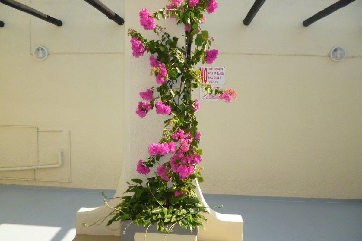 2 Bedroom Unit on the Bluff in Bluff Road,. Dont miss this one  - Photo 4