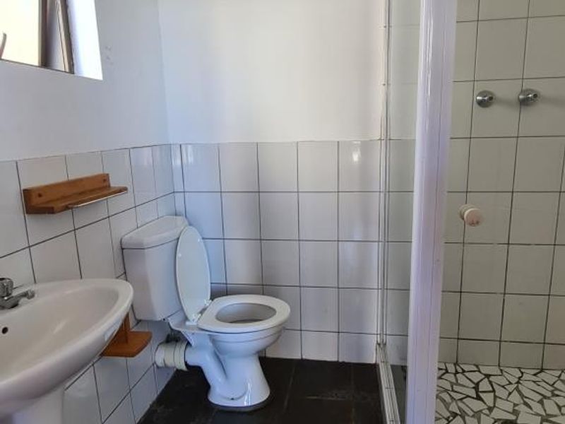 A functional bathroom featuring a pedestal basin, toilet, and a glass-enclosed shower with tiled walls and slate flooring.