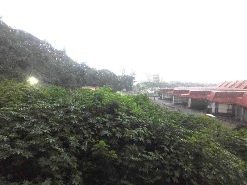 An elevated view overlooking lush greenery and a neighbouring residential complex with red-tiled roofs.