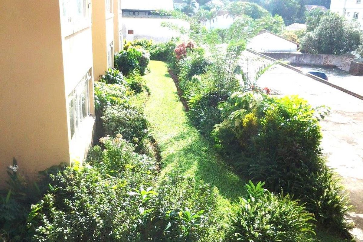 An elevated view of the apartment building's rear garden area featuring a lawn and established perimeter landscaping.