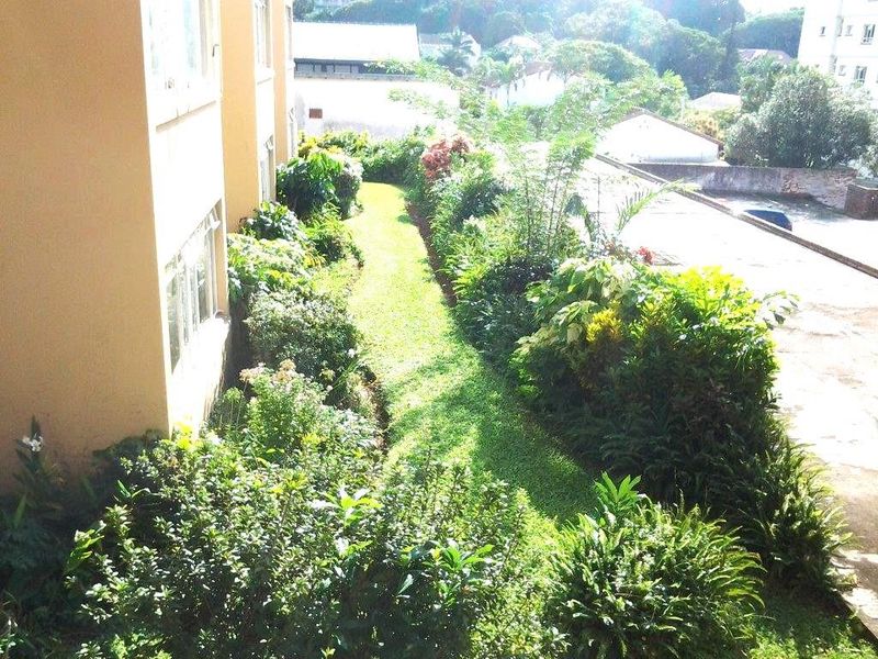 An elevated view of the apartment building's rear garden area featuring a lawn and established perimeter landscaping.
