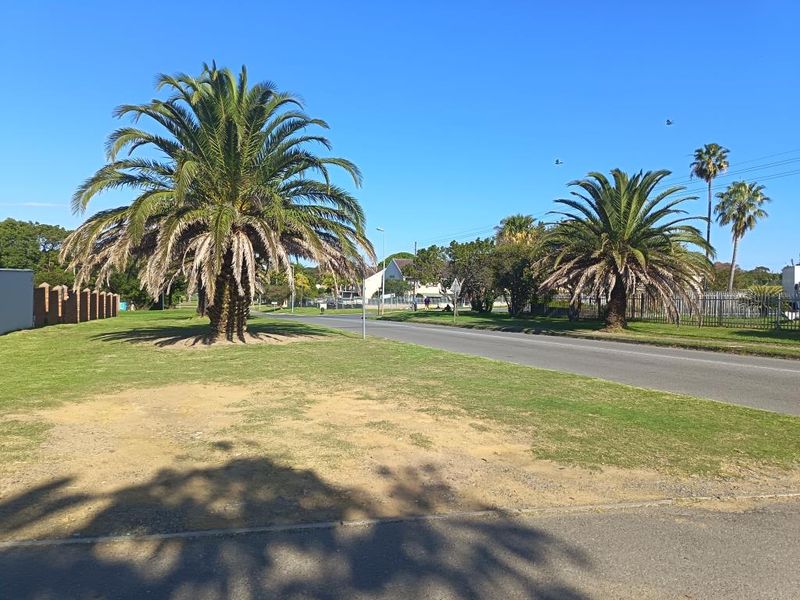A street-level view of the property frontage featuring mature palm trees, a paved road, and established grass verges with perimeter fencing.