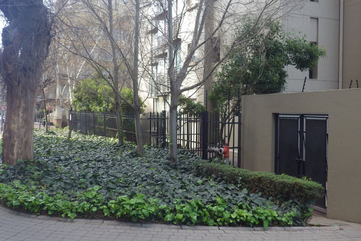 A unique flat with a classic touch!  - Photo 3