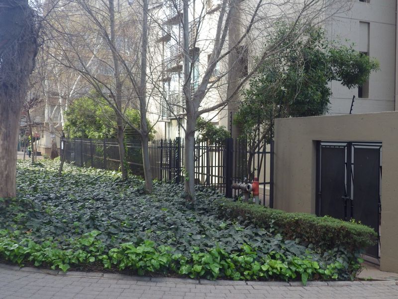 A unique flat with a classic touch!  - Photo 3