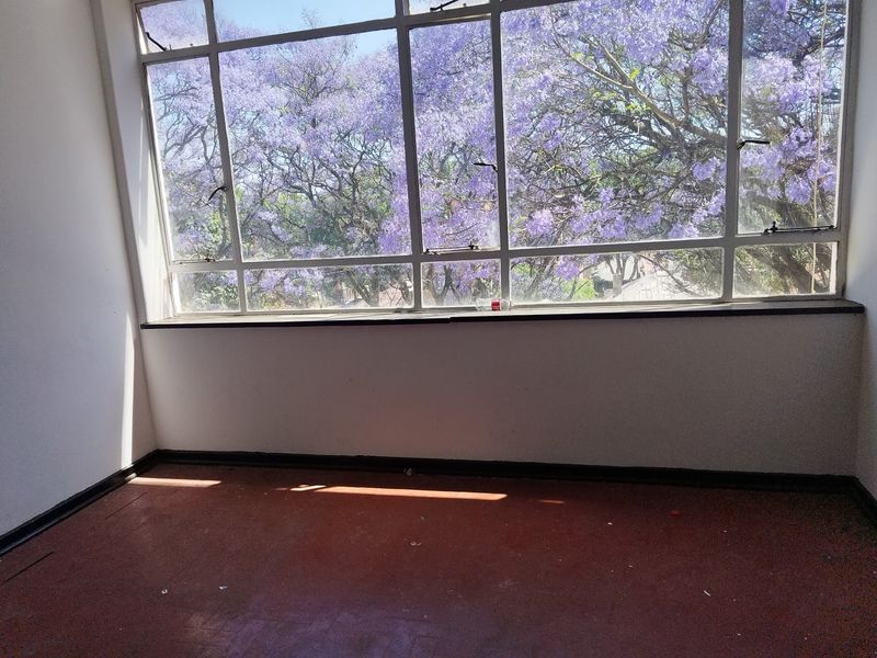 An empty bedroom featuring large steel-framed windows with a pleasant view of flowering trees, providing ample natural light.