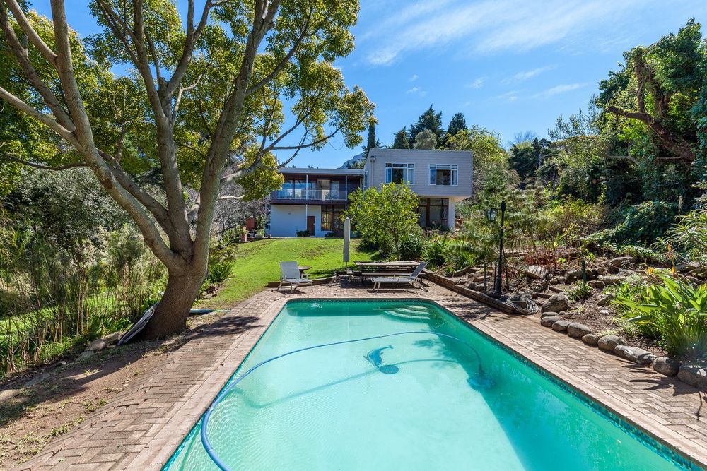 Woodland Wonder - BEFORE