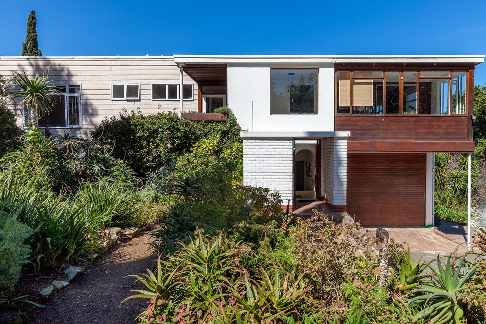 Woodland Wonder - BEFORE