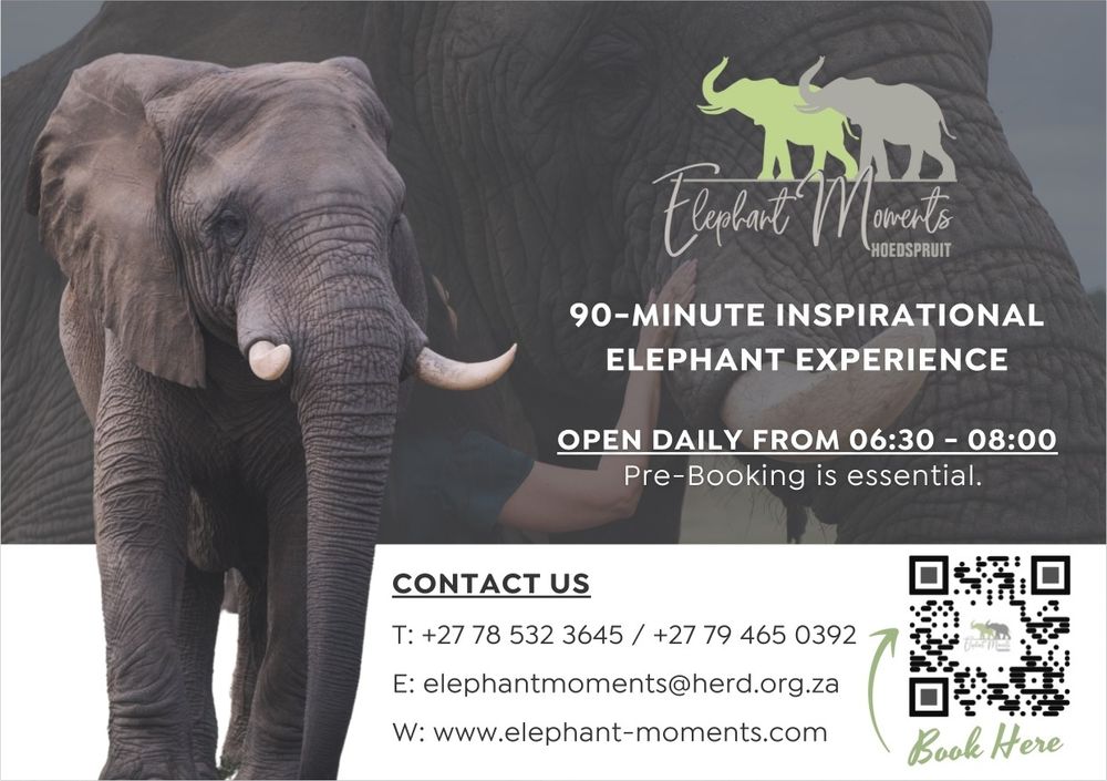 https://www.facebook.com/elephantmoments