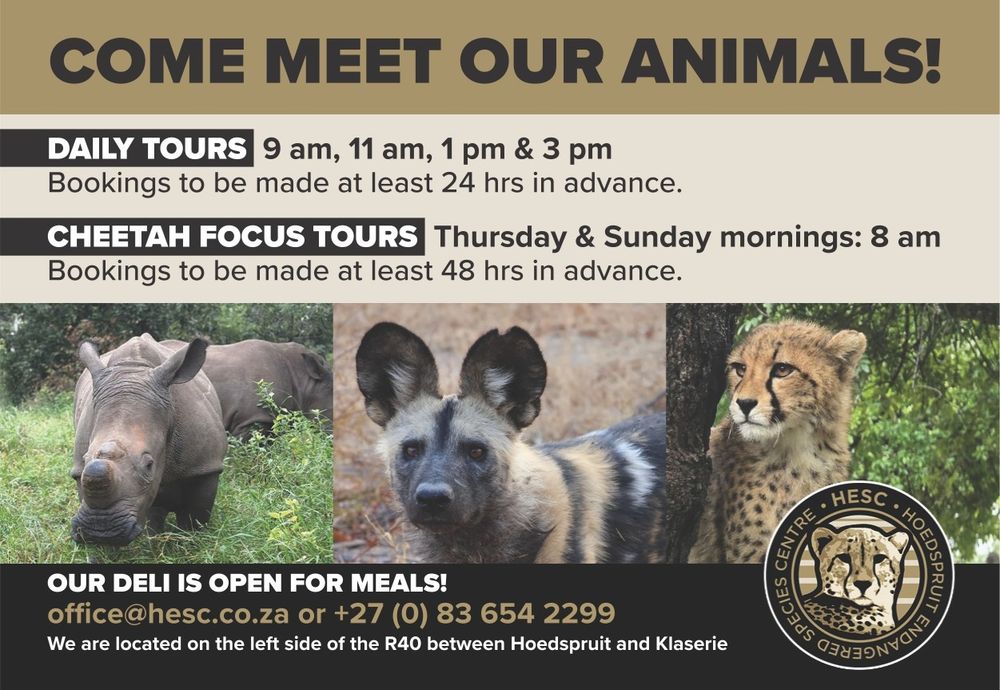 https://www.facebook.com/HoedspruitCheetahCentre