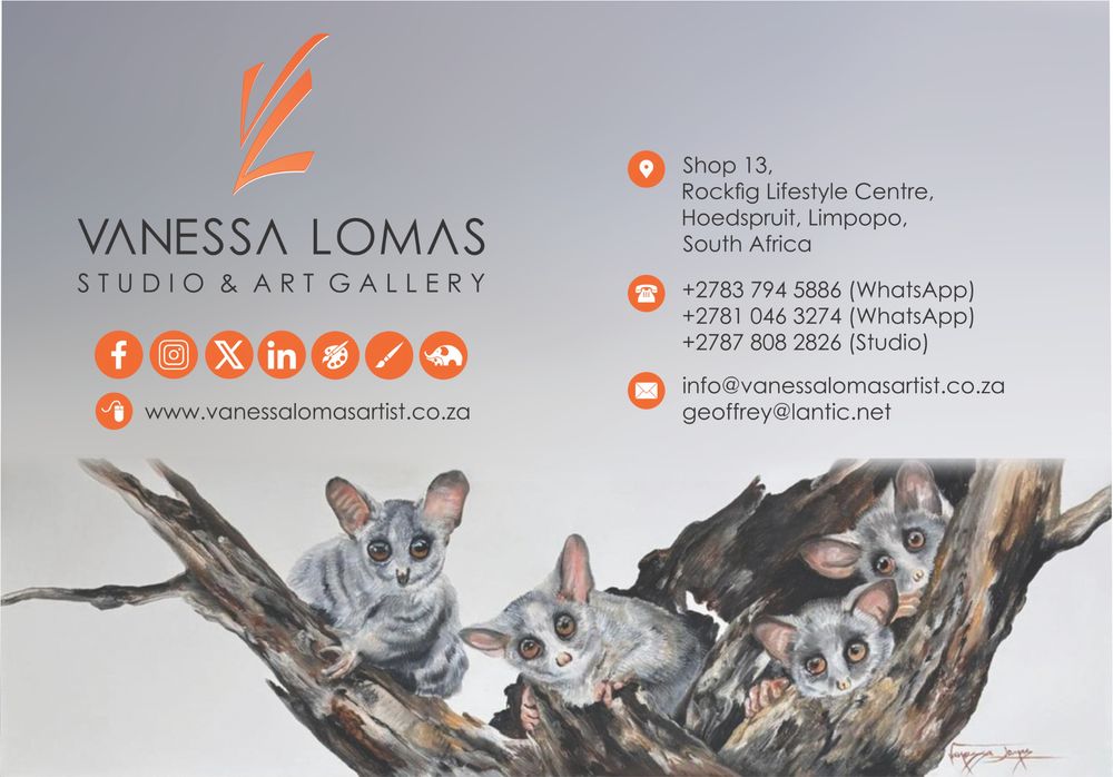 Find the perfect artwork to turn your house into a home at the Vanessa Lomas Studio and Art Gallery in Hoedspruit.