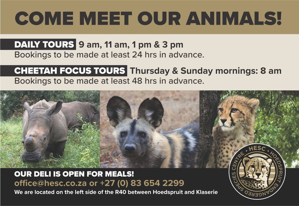 Daily tours at Hoedspruit Endangered Species Centre