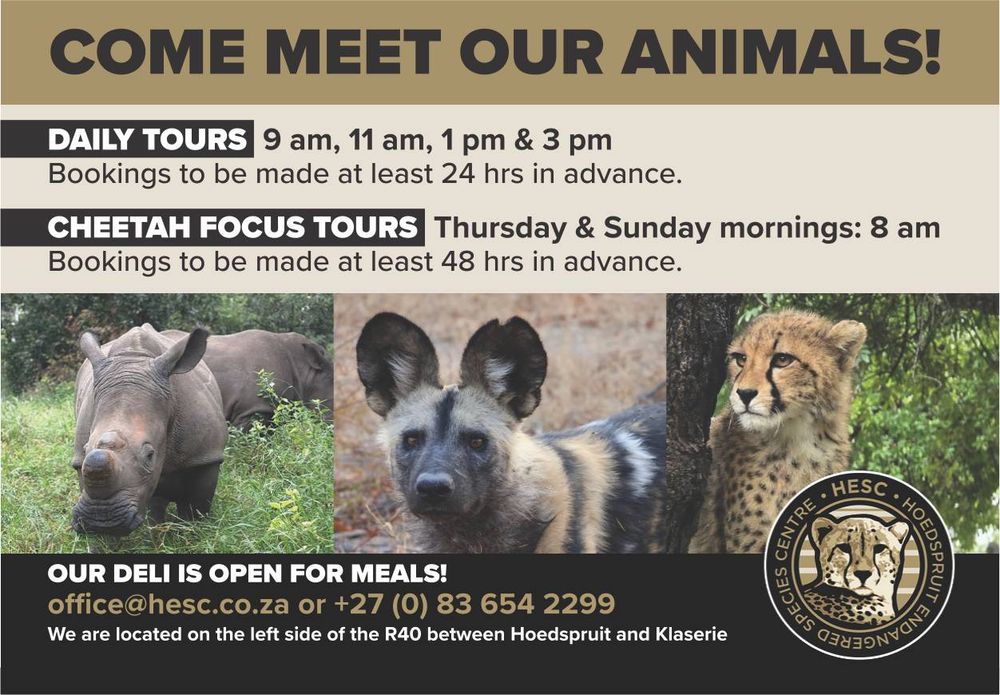 https://www.facebook.com/HoedspruitCheetahCentre