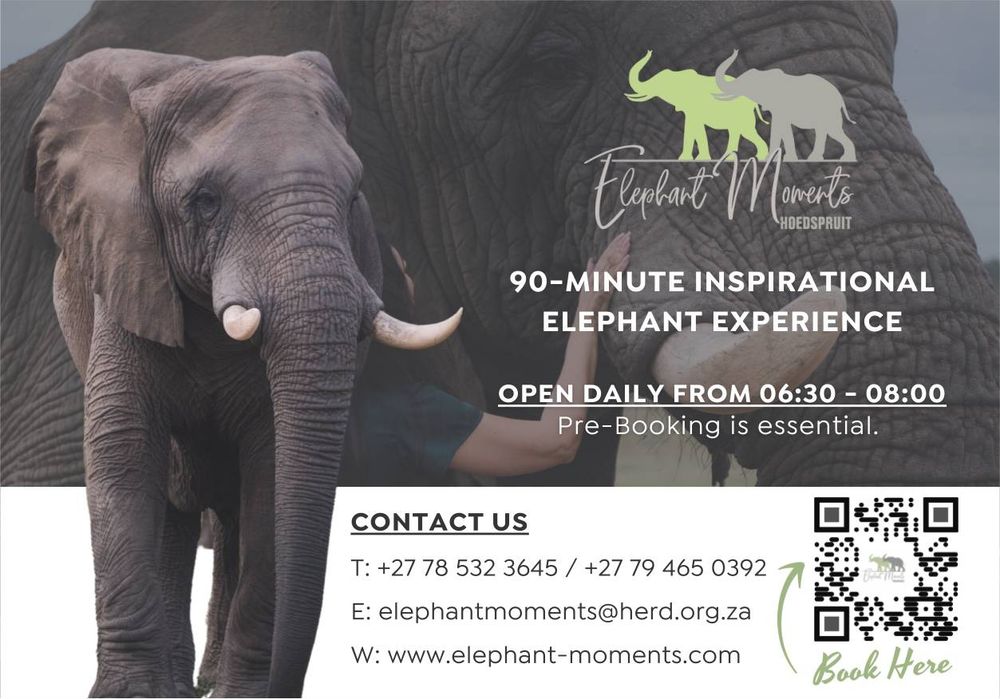 https://www.facebook.com/elephantmoments