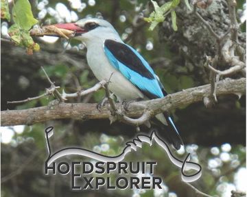 Hoedspruit Explorer - Issue 64 - April 2024