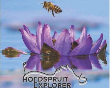 Hoedspruit Explorer - Issue 76 - May 2025