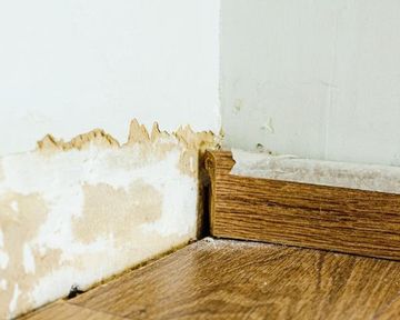 Understanding Damp in Buildings: Causes, Types, and Solutions