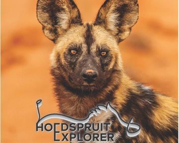 Hoedspruit Explorer - Issue 78 - July 2025