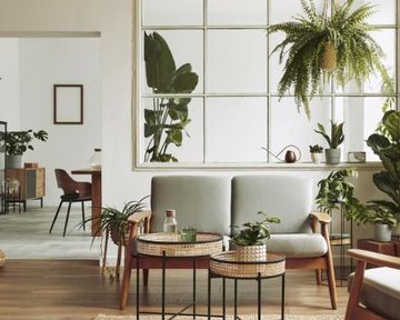 How to stage your property - and why you should