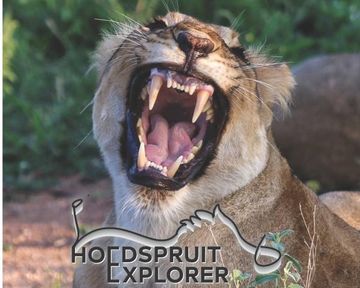 Hoedspruit Explorer - Issue 74 - March 2025
