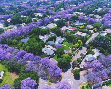 Tips and Tricks for Finding Houses to Rent Pretoria