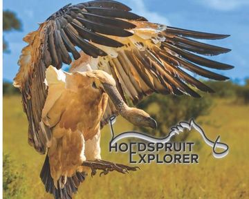 Hoedspruit Explorer - Issue 81 - October 2025