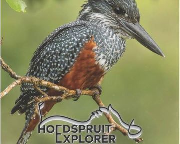 Hoedspruit Explorer - Issue 82 - Nov/Dec 2025