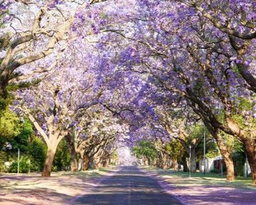 Best Neighbourhoods to Rent in Pretoria: The Year that Was