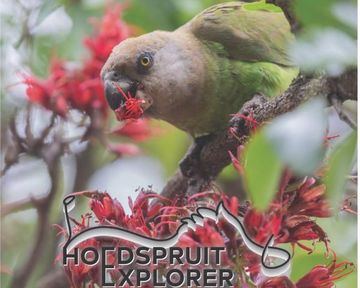 Hoedspruit Explorer - Issue 83 - Dec/January 2026