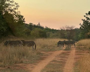 Why Eco Estates Are Becoming the Future of South African Property