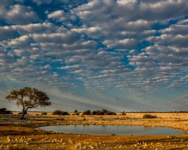 Namibia - Synopsis