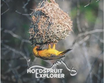Lowveld Living: Inside the June 2026 Hoedspruit Explorer
