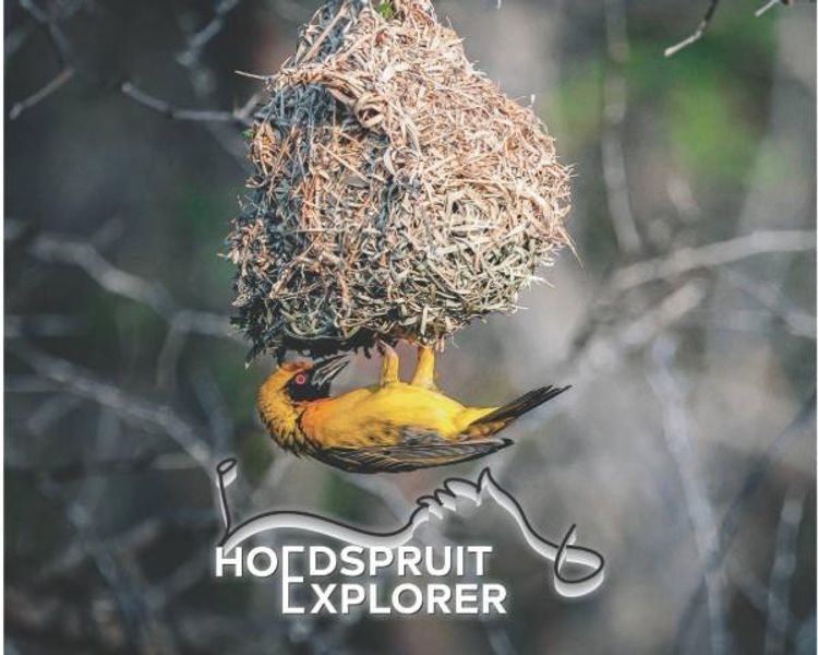 Lowveld Living: Inside the June 2026 Hoedspruit Explorer
