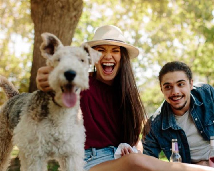 Family-Friendly Northern Suburbs: Comparing Burgundy Estate, Brackenfell and Bellville