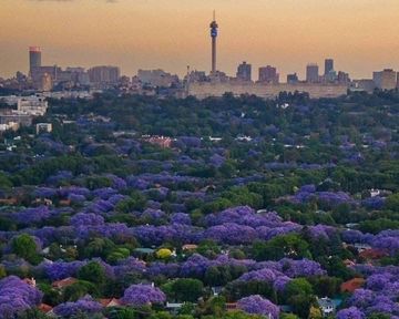 Renting in Pretoria North: Area Guide to Flats and Apartments
