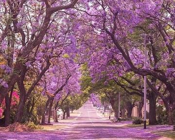 Renting in Pretoria East: The Complete Suburb Guide for 2026