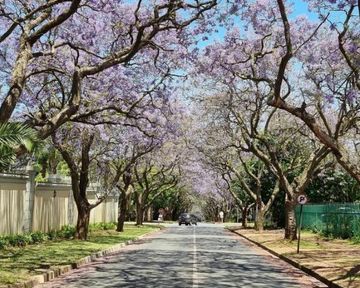 The Ten-Minute Test Every South African Buyer Should Do Before They Sign